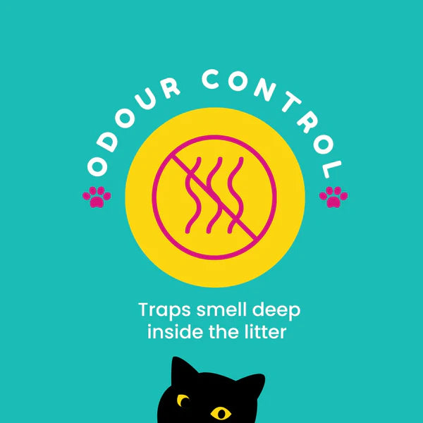 Petcrux Eco Clump Unscented Cat Litter, 5kg